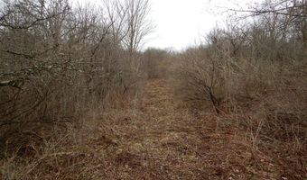 County Route 16, Angelica, NY 14709