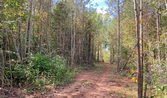 18 62 Ac Squirrell Hollow Rd, Alberta, VA 23821