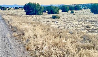 CR 5106, Concho, AZ 85924