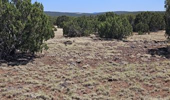 Tbd N8060, Concho, AZ 85924