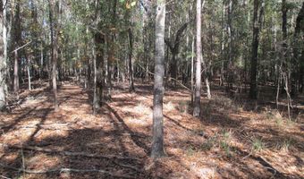 Hillside Drive, Americus, GA 31709