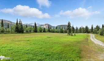 19948 W Glenn Hwy, Chickaloon, AK 99674
