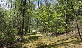 Gold Coast Road, Bridgewater, VT 05034