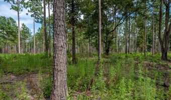221 Ac Crestview Rd, Arlington, GA 39813