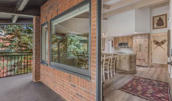 731 S Mill St 3A, Aspen, CO 81611
