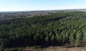 113 Parkway Trail Blvd, Bauxite, AR 72011
