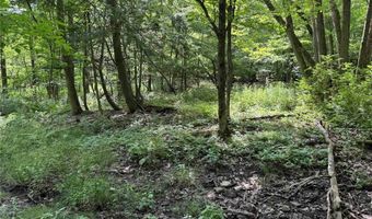 Green Road, Alfred, NY 14802
