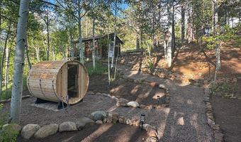 1087 Highway 7 Bus Rte, Allenspark, CO 80510
