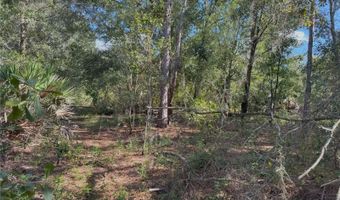 0 ALTURAS BABSON PARK CUT OFF Rd, Bartow, FL 33830