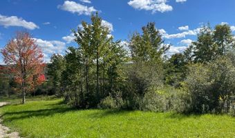 8302 Basswood Hill Rd, Alden, NY 14709