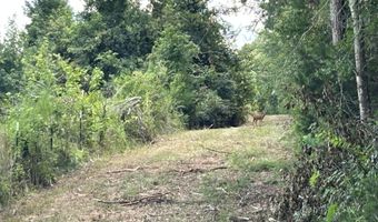 001 Farr Rd, Bolton, MS 39041