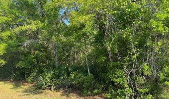135 Water Oaks Way, Apalachicola, FL 32320
