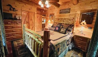 6402 Rustic Pine Trl, Alanson, MI 49706