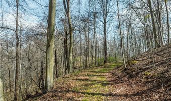 E Captina Highway Road, Alledonia, OH 43902