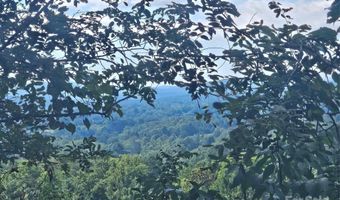 97 Destination Dr, Asheville, NC 28806