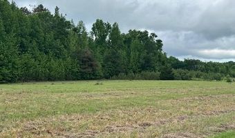 PEAR BLOSSOM Ln, Adamsville, TN 38310