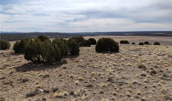 15 County Rd N8641, Concho, AZ 85924
