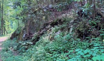 88 Acres Bolden Br, Andrews, NC 28901