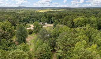 2865 91 Co Rd, Bankston, AL 35542