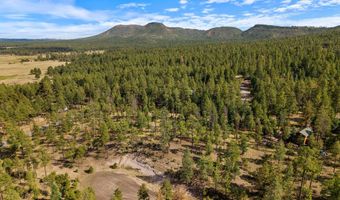 CR 2193, Alpine, AZ 85920