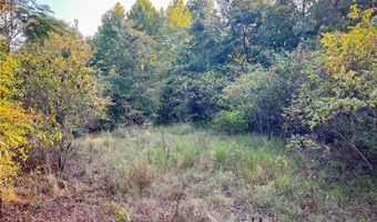 Tbd Highway 3, Antlers, OK 74523