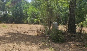 Lot A- Vining Road, Amite, LA 70422