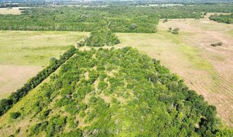 Pine Prairie Rd, Ashdown, AR 71822