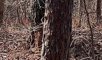 8648 Groundhog Rd, Adger, AL 35006