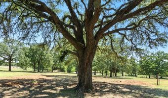 Tbd1 FM 1189, Brock, TX 76087