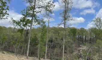 State Hwy N Tract G, Ava, MO 65608