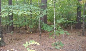 Lot 72 Holmes Road, Barnstead, NH 03225