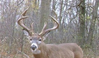 Middle Road, Ashtabula, OH 44004