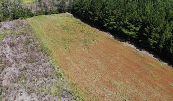 Old Buckhead Road, Bamberg, SC 29003