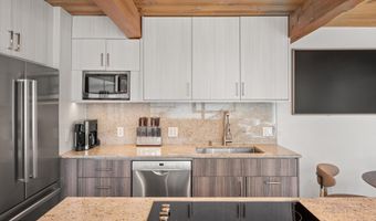 1024 E Cooper Avenue 3a, Aspen, CO 81611