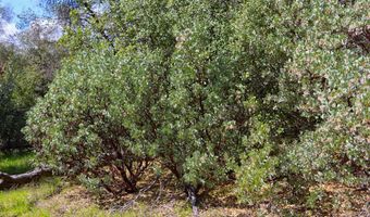 6 Knickerbocker, Ahwahnee, CA 93601