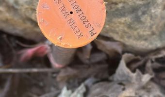 County Road 118, Annapolis, MO 63620