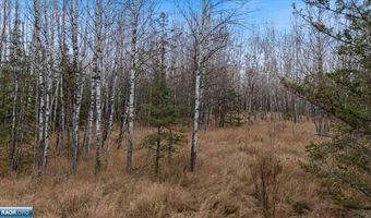 TBD Lane 55 County Road 341, Aurora, MN 55705