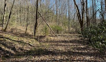 Lot 7 Valley View Heights Lane, Andrews, NC 28901