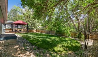 12 E Bonanza Pl, Battlement Mesa, CO 81635