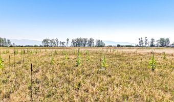 Frank Road, Belgrade, MT 59714