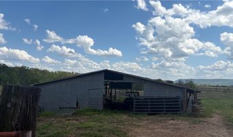 2 Old Wire Rd, Atkins, AR 72823