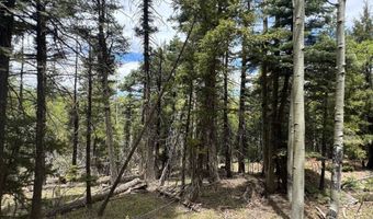 Lot 455 El Camino Real, Angel Fire, NM 87710