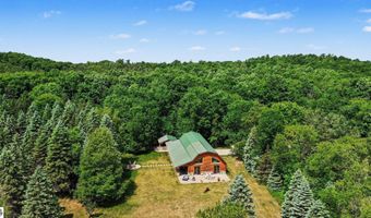 8157 NW Kellogg Rd, Alden, MI 49612