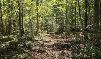 HURT HOLLOW RD, Banco, VA 22711