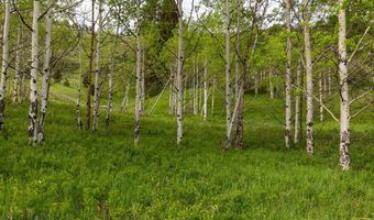 Trail Creek Road Lot 3, Bozeman, MT 59715