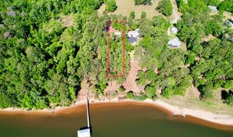 171 Lakeview Ter, Abbeville, AL 36310