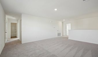 10644 Harlequinn Plan: Eclipse, Adkins, TX 78101