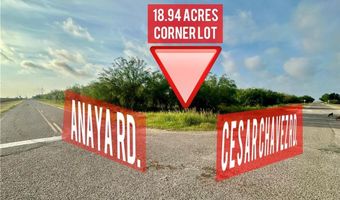 000 Anaya Rd, Alamo, TX 78516