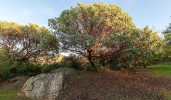 22205 MARIAH Way, Alpine, CA 91901