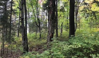 80 Acres Namakagon Sunset Rd, Cable, WI 54821